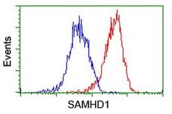 SAMHD1 Mouse anti-Canine, Human, Mouse, Rat, Clone: OTI1A1, liquid, TrueMAB 30 &mu;L | Buy Online | OriGene | Fisher Scientific