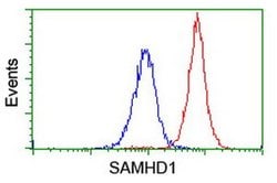 SAMHD1 Mouse anti-Canine, Human, Mouse, Rat, Clone: OTI1A1, liquid, TrueMAB 30 &mu;L | Buy Online | OriGene | Fisher Scientific