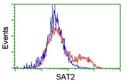 SAT2 Mouse anti-Human, Clone: OTI2A3, lyophilized, TrueMAB 100 &mu;g; Unconjugated:Antibodies,