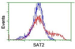SAT2 Monoclonal Antibody (OTI1C9), TrueMAB , OriGene 100 &mu;L; Unconjugated:Antibodies,