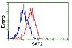 SAT2 Monoclonal Antibody (OTI1C9), TrueMAB , OriGene 100 &mu;L; Unconjugated:Antibodies,