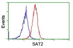 SAT2 Monoclonal Antibody (OTI1C9), TrueMAB , OriGene 100 &mu;L; Unconjugated:Antibodies,