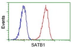 SATB1 Mouse anti-Human, Clone: OTI11E8, liquid, TrueMAB 100 &mu;L; Unconjugated:Antibodies,