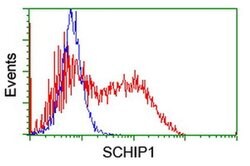 SCHIP1 Monoclonal Antibody (OTI2E7), TrueMAB , OriGene:Antibodies:Primary