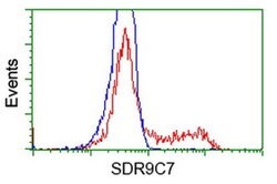 SDR9C7 Monoclonal Antibody (OTI10D2), TrueMAB , OriGene 100 &mu;L; Unconjugated:Antibodies,