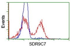 SDR9C7 Mouse anti-Human, Clone: OTI6A8, lyophilized, TrueMAB 100 &mu;g | Buy Online | Origene Technologies | Fisher Scientific
