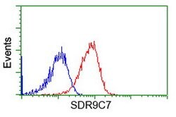 SDR9C7 Mouse anti-Human, Clone: OTI6A8, lyophilized, TrueMAB 100 &mu;g | Buy Online | Origene Technologies | Fisher Scientific