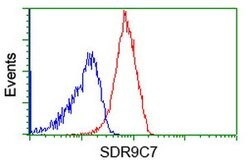 SDR9C7 Mouse anti-Human, Clone: OTI6A8, lyophilized, TrueMAB 100 &mu;g | Buy Online | Origene Technologies | Fisher Scientific