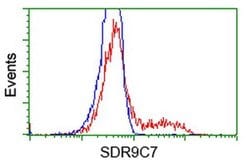 SDR9C7 Monoclonal Antibody (OTI12A11), TrueMAB , OriGene 100 &mu;L; Unconjugated:Antibodies,