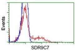 SDR9C7 Mouse anti-Human, Clone: OTI4B5, lyophilized, TrueMAB 100 &mu;g | Buy Online | Origene Technologies | Fisher Scientific