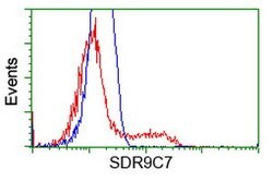 SDR9C7 Mouse anti-Human, Clone: OTI11H10, lyophilized, TrueMAB 100 &mu;g;