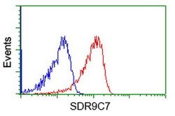 SDR9C7 Mouse anti-Human, Clone: OTI11H10, lyophilized, TrueMAB 100 &mu;g;