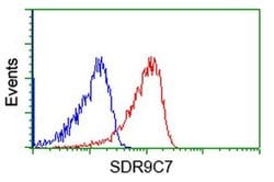 SDR9C7 Monoclonal Antibody (OTI11H10), TrueMAB , OriGene 30 &mu;L; Unconjugated:Antibodies,