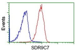 SDR9C7 Monoclonal Antibody (OTI10B4), TrueMAB , OriGene 100 &mu;L; Unconjugated:Antibodies,