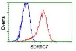 SDR9C7 Monoclonal Antibody (OTI8F3), TrueMAB , OriGene:Antibodies:Primary