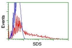 SDS Monoclonal Antibody (OTI4E1), TrueMAB , OriGene 100 &mu;L; Unconjugated:Antibodies,