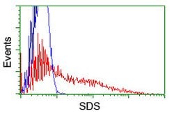SDS Mouse anti-Human, Clone: OTI1C8, lyophilized, TrueMAB 100 &mu;g; Unconjugated:Antibodies,