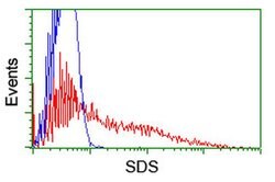 SDS Monoclonal Antibody (OTI1C8), TrueMAB , OriGene 30 &mu;L; Unconjugated:Antibodies,