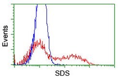 SDS Mouse anti-Human, Clone: OTI2C11, lyophilized, TrueMAB 100 &mu;g; Unconjugated:Antibodies,