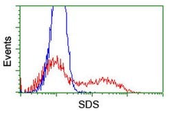 SDS Monoclonal Antibody (OTI2C11), TrueMAB , OriGene 100 &mu;L; Unconjugated:Antibodies,