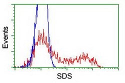 SDS Monoclonal Antibody (OTI1A8), TrueMAB , OriGene 100 &mu;L; Unconjugated:Antibodies,