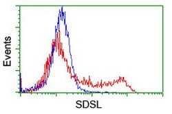 SDSL Mouse anti-Human, Clone: OTI1A8, lyophilized, TrueMAB 100 &mu;g; Unconjugated:Antibodies,