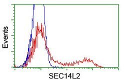 SEC14L2 Mouse anti-Human, Clone: OTI1F10, lyophilized, TrueMAB 100 &mu;g;