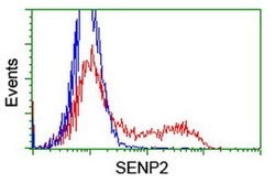 SENP2 Monoclonal Antibody (OTI3D3), TrueMAB , OriGene 100 &mu;L; Unconjugated:Antibodies,
