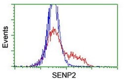 SENP2 Monoclonal Antibody (OTI3B12), TrueMAB , OriGene 100 &mu;L; Unconjugated:Antibodies,