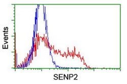 SENP2 Monoclonal Antibody (OTI3D12), TrueMAB , OriGene 100 &mu;L; Unconjugated:Antibodies,