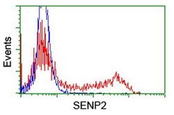 SENP2 Monoclonal Antibody (OTI5E1), TrueMAB , OriGene 100 &mu;L; Unconjugated:Antibodies,