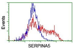 SERPINA5 Monoclonal Antibody (OTI1C4), TrueMAB , OriGene 100 &mu;L; Unconjugated:Antibodies,