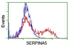 SERPINA5 Monoclonal Antibody (OTI2D12), TrueMAB , OriGene 100 &mu;L; Unconjugated:Antibodies,
