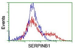 SERPINB1 Monoclonal Antibody (OTI4B3), TrueMAB , OriGene 100 &mu;L; Unconjugated:Antibodies,