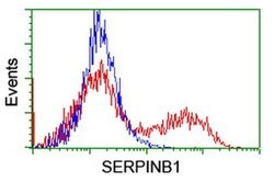 SERPINB1 Monoclonal Antibody (OTI1D1), TrueMAB , OriGene 100 &mu;L; Unconjugated:Antibodies,