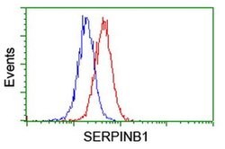 SERPINB1 Monoclonal Antibody (OTI1D1), TrueMAB , OriGene 100 &mu;L; Unconjugated:Antibodies,