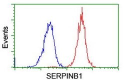 SERPINB1 Mouse anti-Canine, Human, Rat, Clone: OTI3B4, lyophilized, TrueMAB