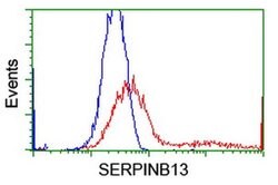 SERPINB13 Monoclonal Antibody (OTI2F5), TrueMAB , OriGene 100 &mu;L; Unconjugated:Antibodies,