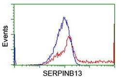SERPINB13 Monoclonal Antibody (OTI1B12), TrueMAB , OriGene 100 &mu;L | Buy Online | Origene Technologies | Fisher Scientific