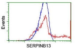 SERPINB13 Mouse anti-Human, Mouse, Clone: OTI1D4, lyophilized, TrueMAB