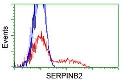 SERPINB2 Mouse anti-Human, Clone: OTI1F6, liquid, TrueMAB 100 &mu;L; Unconjugated:Antibodies,