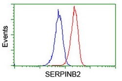 SERPINB2 Mouse anti-Human, Clone: OTI1F6, lyophilized, TrueMAB 100 &mu;g | Buy Online | Origene Technologies | Fisher Scientific