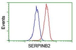 SERPINB2 Mouse anti-Human, Clone: OTI1F6, liquid, TrueMAB 100 &mu;L; Unconjugated:Antibodies,