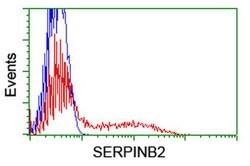 SERPINB2 Monoclonal Antibody (OTI4A3), TrueMAB , OriGene 100 &mu;L; Unconjugated:Antibodies,