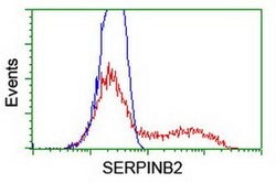 SERPINB2 Monoclonal Antibody (OTI3H1), TrueMAB , OriGene 30 &mu;L; Unconjugated:Antibodies,