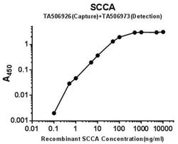 SERPINB3 Monoclonal Antibody (OTI1F10), TrueMAB , OriGene:Antibodies:Primary
