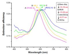 SERPINB3 Mouse anti-Canine, Human, Rat, Clone: OTI3C2, lyophilized, TrueMAB