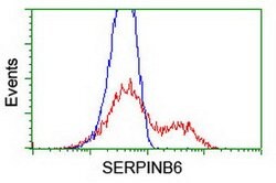 SERPINB6 Mouse anti-Human, Mouse, Clone: OTI1C5, lyophilized, TrueMAB 100 &mu;g | Buy Online | Origene Technologies | Fisher Scientific