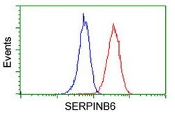 SERPINB6 Mouse anti-Human, Mouse, Clone: OTI1C5, lyophilized, TrueMAB 100 &mu;g | Buy Online | Origene Technologies | Fisher Scientific