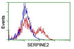 SERPINE2 Mouse anti-Canine, Human, Mouse, Clone: OTI4E4, lyophilized, TrueMAB